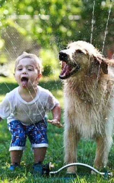 طفل يلعب مع الكلب فى الماء هرباً من حرارة الجو