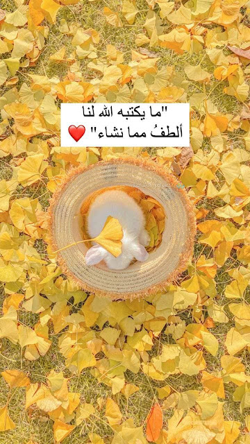 خلفيات موبايل اسلامية جديدة للنساء