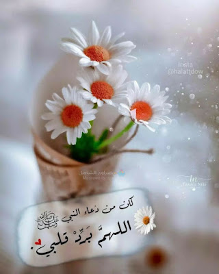 خلفيات موبايل اسلامية جديدة للنساء